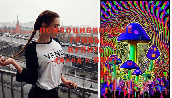 apvp Алексеевка