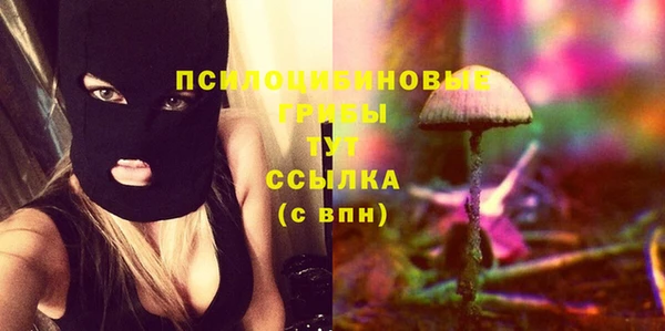 ешки Алзамай